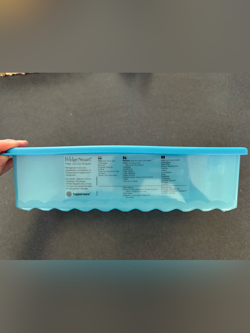 Tupperware FridgeSmart Produce Keeper - Light Blue
